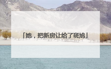 她，把新房让给了斑鸠
