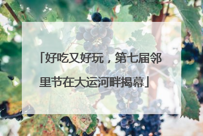 好吃又好玩，第七届邻里节在大运河畔揭幕