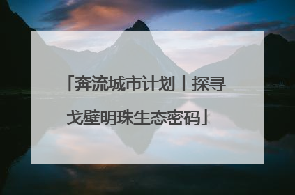 奔流城市计划丨探寻戈壁明珠生态密码
