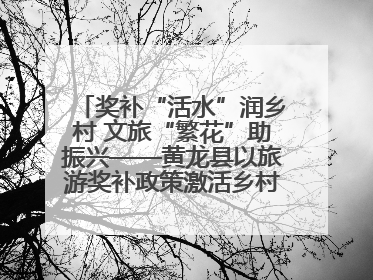 奖补“活水”润乡村 文旅“繁花”助振兴——黄龙县以旅游奖补政策激活乡村振兴新动能
