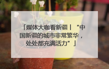 媒体大咖看新疆丨“中国新疆的城市非常繁华，处处都充满活力”
