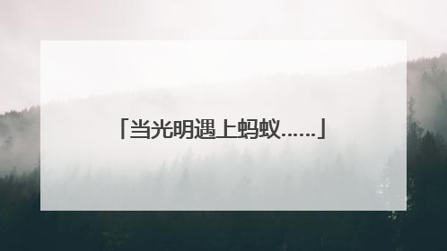 当光明遇上蚂蚁……