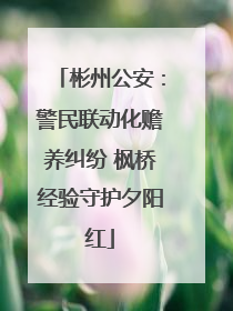 彬州公安：警民联动化赡养纠纷 枫桥经验守护夕阳红