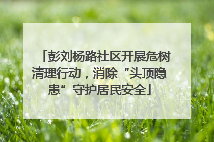 彭刘杨路社区开展危树清理行动，消除“头顶隐患”守护居民安全