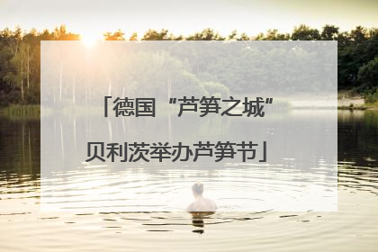 德国“芦笋之城”贝利茨举办芦笋节