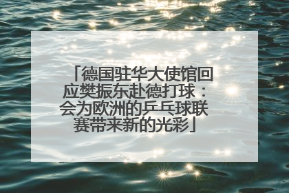 德国驻华大使馆回应樊振东赴德打球：会为欧洲的乒乓球联赛带来新的光彩