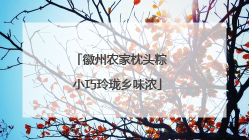 徽州农家枕头粽 小巧玲珑乡味浓