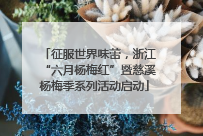 征服世界味蕾，浙江“六月杨梅红”暨慈溪杨梅季系列活动启动