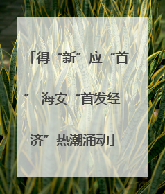 得“新”应“首” 海安“首发经济”热潮涌动