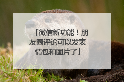 微信新功能！朋友圈评论可以发表情包和图片了