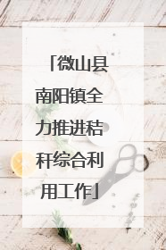 微山县南阳镇全力推进秸秆综合利用工作