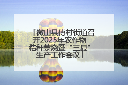微山县傅村街道召开2025年农作物秸秆禁烧暨“三夏”生产工作会议