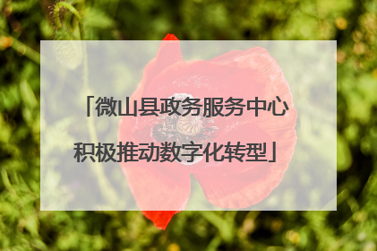 微山县政务服务中心积极推动数字化转型