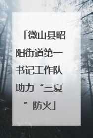 微山县昭阳街道第一书记工作队助力“三夏”防火