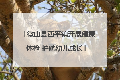 微山县西平镇开展健康体检 护航幼儿成长