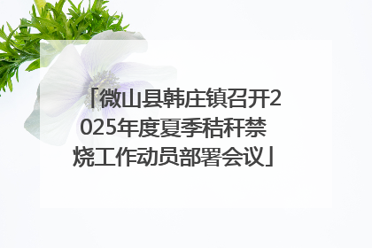 微山县韩庄镇召开2025年度夏季秸秆禁烧工作动员部署会议