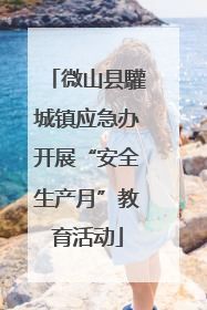 微山县驩城镇应急办开展“安全生产月”教育活动