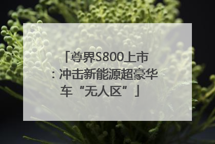 尊界S800上市：冲击新能源超豪华车“无人区”