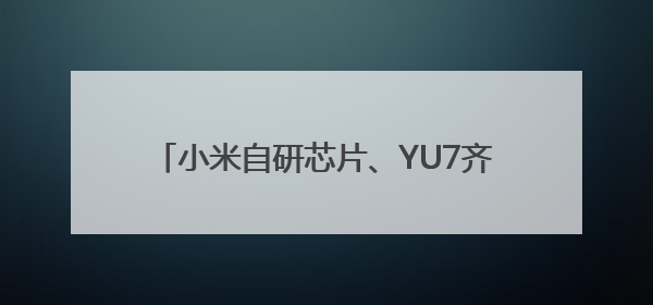 小米自研芯片、YU7齐发布！相关话题霸占热搜榜，雷军一夜涨粉超20万