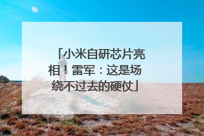 小米自研芯片亮相！雷军：这是场绕不过去的硬仗