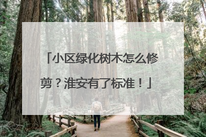 小区绿化树木怎么修剪？淮安有了标准！