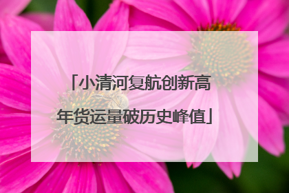小清河复航创新高 年货运量破历史峰值