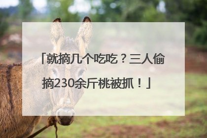 就摘几个吃吃？三人偷摘230余斤桃被抓！