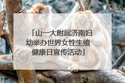 山一大附属济南妇幼举办世界女性生殖健康日宣传活动