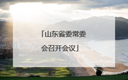 山东省委常委会召开会议