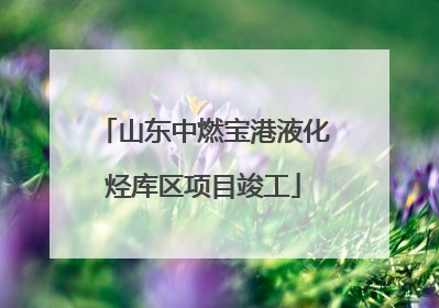 山东中燃宝港液化烃库区项目竣工