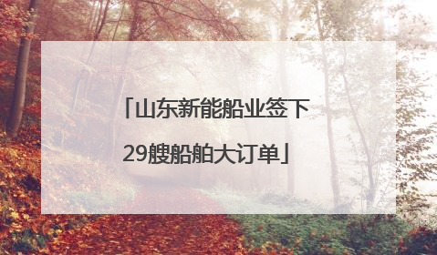 山东新能船业签下29艘船舶大订单