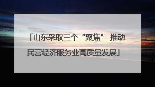 山东采取三个“聚焦” 推动民营经济服务业高质量发展