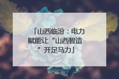 山西临汾：电力赋能让“山西智造”开足马力