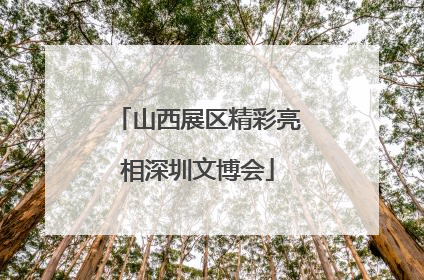 山西展区精彩亮相深圳文博会