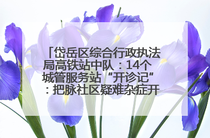 岱岳区综合行政执法局高铁站中队：14个城管服务站“开诊记”：把脉社区疑难杂症开出治理良方