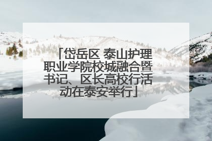 岱岳区 泰山护理职业学院校城融合暨书记、区长高校行活动在泰安举行