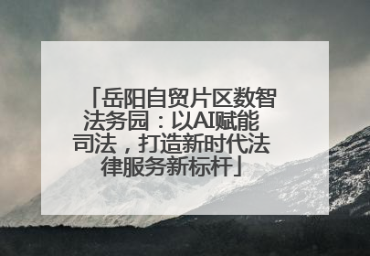 岳阳自贸片区数智法务园：以AI赋能司法，打造新时代法律服务新标杆