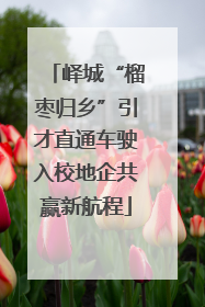 峄城“榴枣归乡”引才直通车驶入校地企共赢新航程