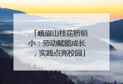 峨眉山桂花桥镇小：劳动赋能成长，实践点亮校园