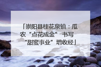崇阳县桂花泉镇：瓜农“点花成金” 书写“甜蜜事业”增收经