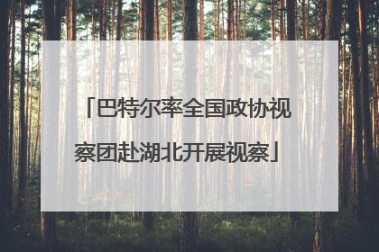 巴特尔率全国政协视察团赴湖北开展视察
