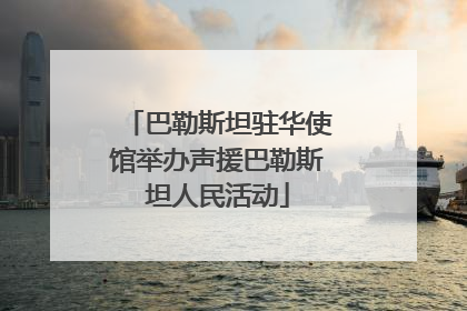 巴勒斯坦驻华使馆举办声援巴勒斯坦人民活动
