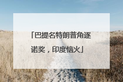 巴提名特朗普角逐诺奖，印度恼火