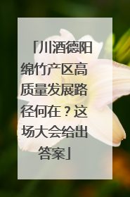 川酒德阳绵竹产区高质量发展路径何在？这场大会给出答案