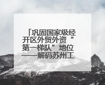 巩固国家级经开区外贸外资“第一梯队”地位——解码苏州工业园区样本