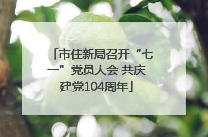 市住新局召开“七一”党员大会 共庆建党104周年