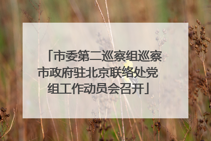 市委第二巡察组巡察市政府驻北京联络处党组工作动员会召开