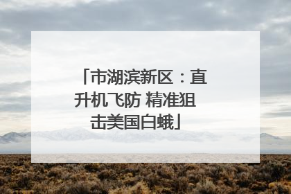 市湖滨新区：直升机飞防 精准狙击美国白蛾