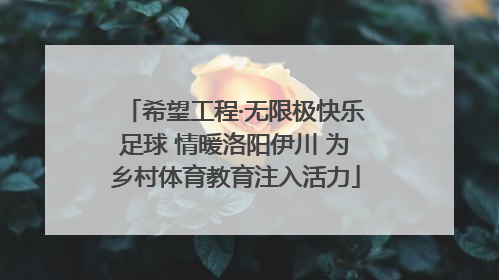 希望工程·无限极快乐足球 情暖洛阳伊川 为乡村体育教育注入活力