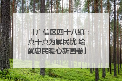 广信区四十八镇：真干真为解民忧 绘就惠民暖心新画卷